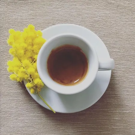 Alojamento de Acomodação e Pequeno-almoço La Stella Di 4*